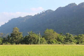 Xotic Resort,,3 star