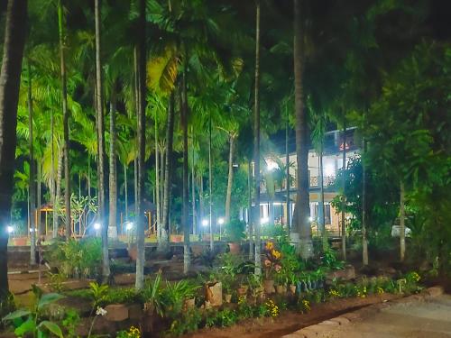 the forest villa resort