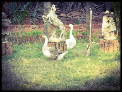 the forest villa resort