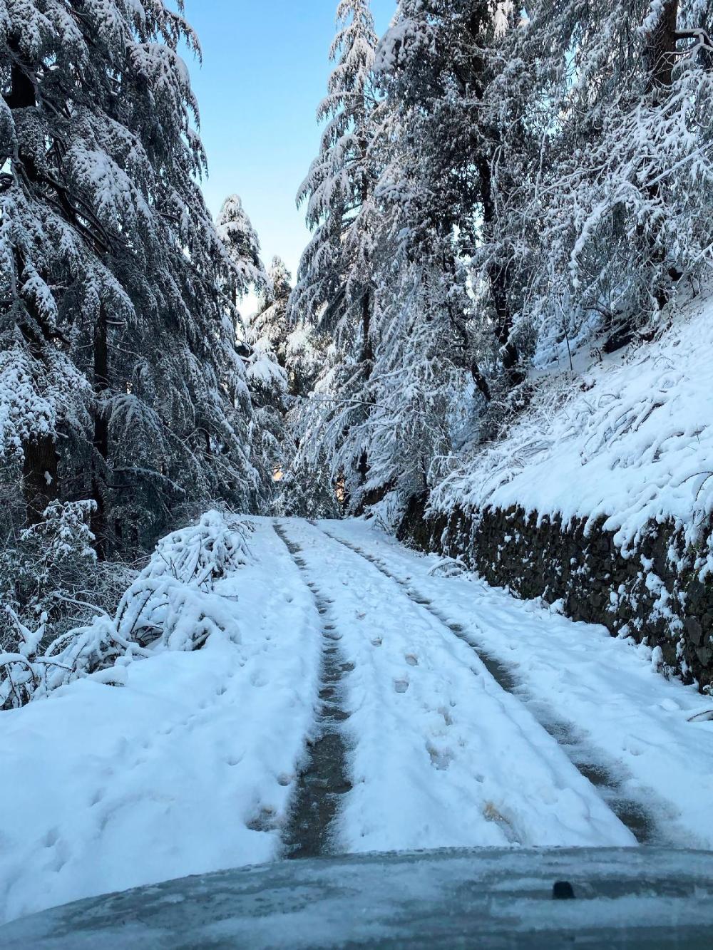 zostel homes mashobra shimla