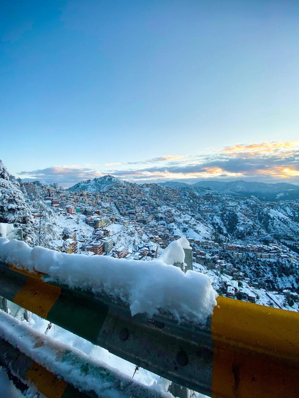 zostel homes mashobra shimla