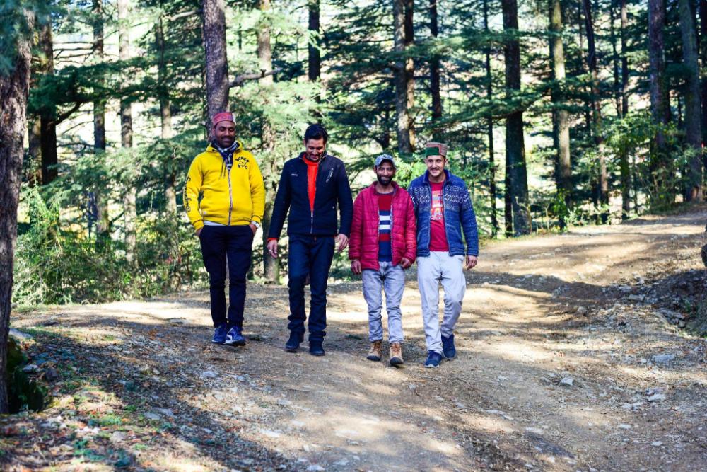 zostel homes mashobra shimla