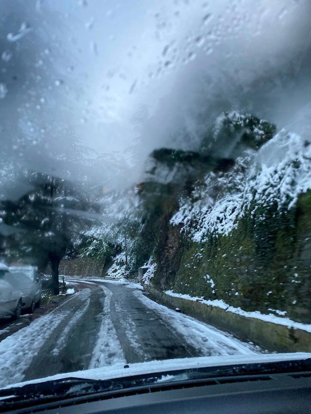 zostel homes mashobra shimla