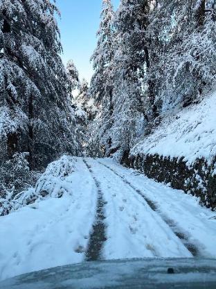 zostel homes mashobra shimla