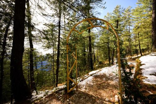 zostel homes mashobra shimla