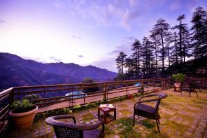 zostel homes mashobra shimla