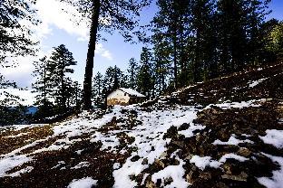 zostel homes mashobra shimla