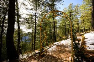 zostel homes mashobra shimla