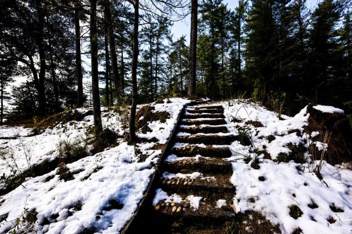 shimla