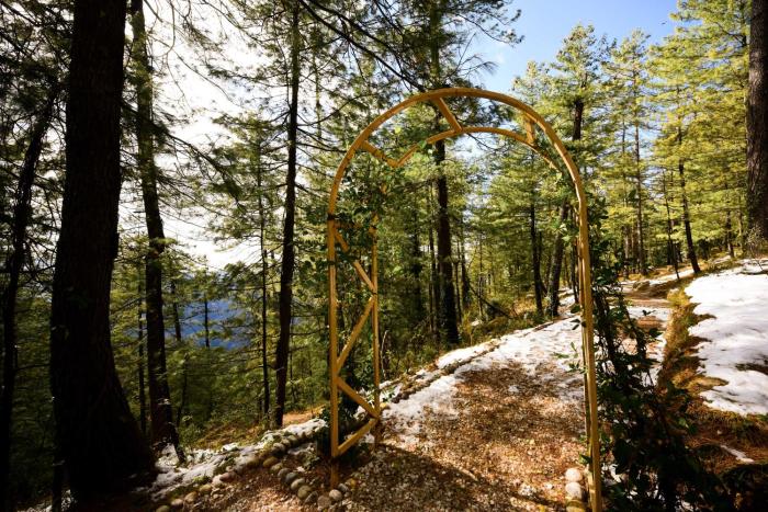 zostel homes mashobra shimla