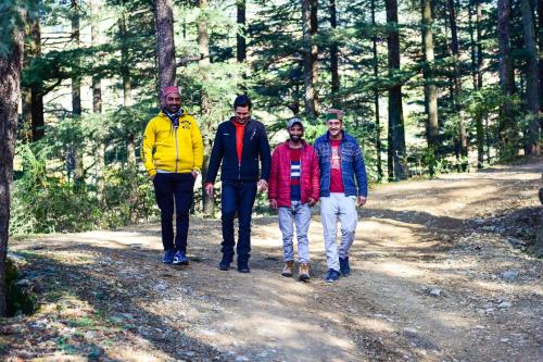 shimla