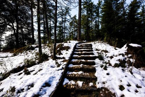 shimla