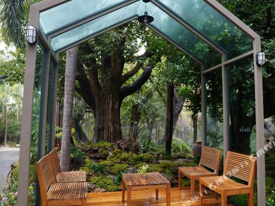 tree scape retreat resort