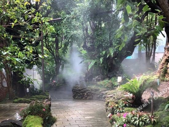 tree scape retreat resort