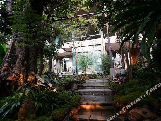 tree scape retreat resort