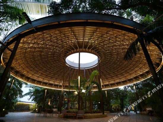 tree scape retreat resort
