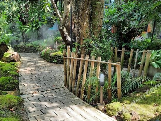 tree scape retreat resort