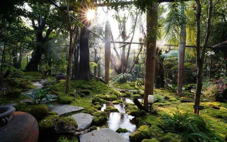 tree scape retreat resort