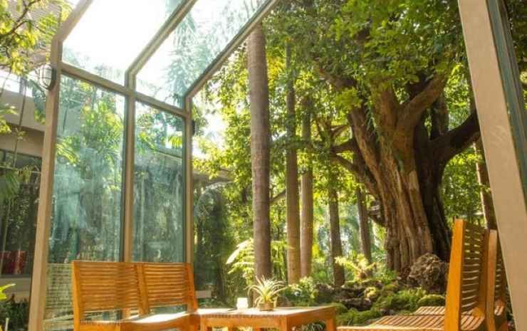 tree scape retreat resort