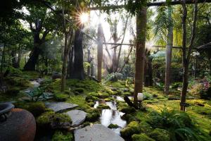 tree scape retreat resort