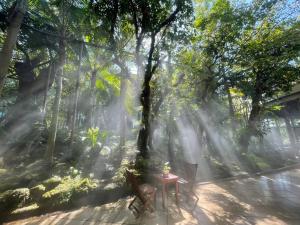 tree scape retreat resort