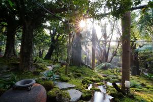 tree scape retreat resort