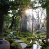 tree scape retreat resort