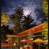 tree scape retreat resort