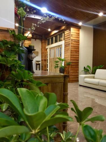 bohol boutique hotel