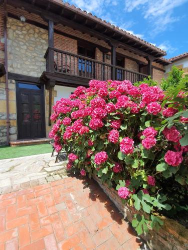 apartamentos camino del norte