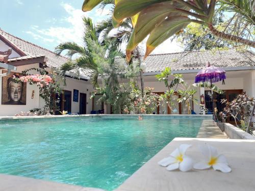 dream hotel
