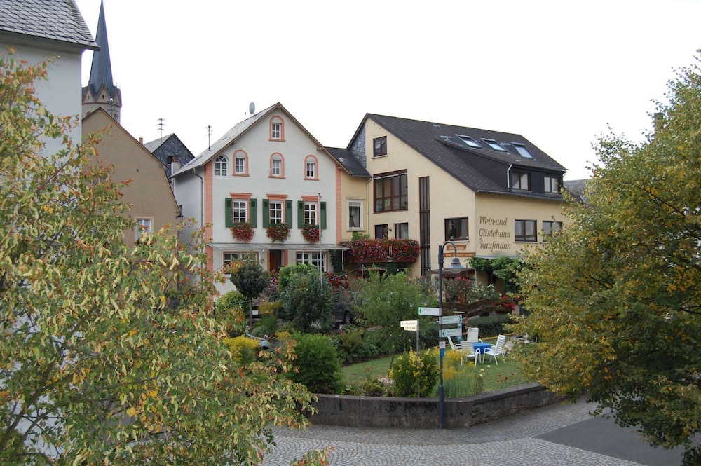 weingut and gastehaus kaufmann schneider