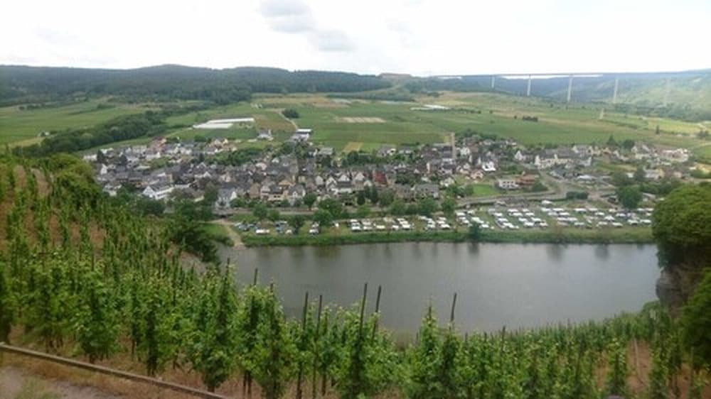 weingut and gastehaus kaufmann schneider
