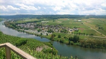 weingut and gastehaus kaufmann schneider