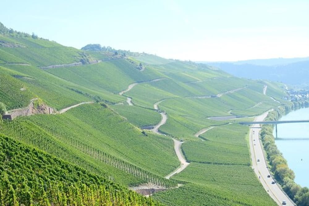 weingut and gastehaus kaufmann schneider