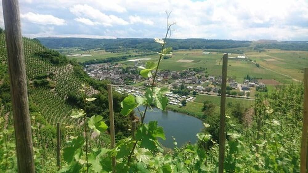 weingut and gastehaus kaufmann schneider
