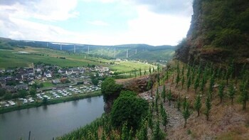 weingut and gastehaus kaufmann schneider