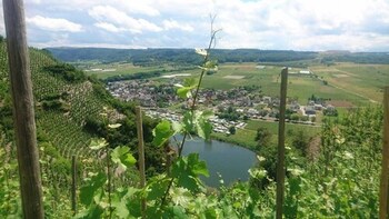 weingut and gastehaus kaufmann schneider