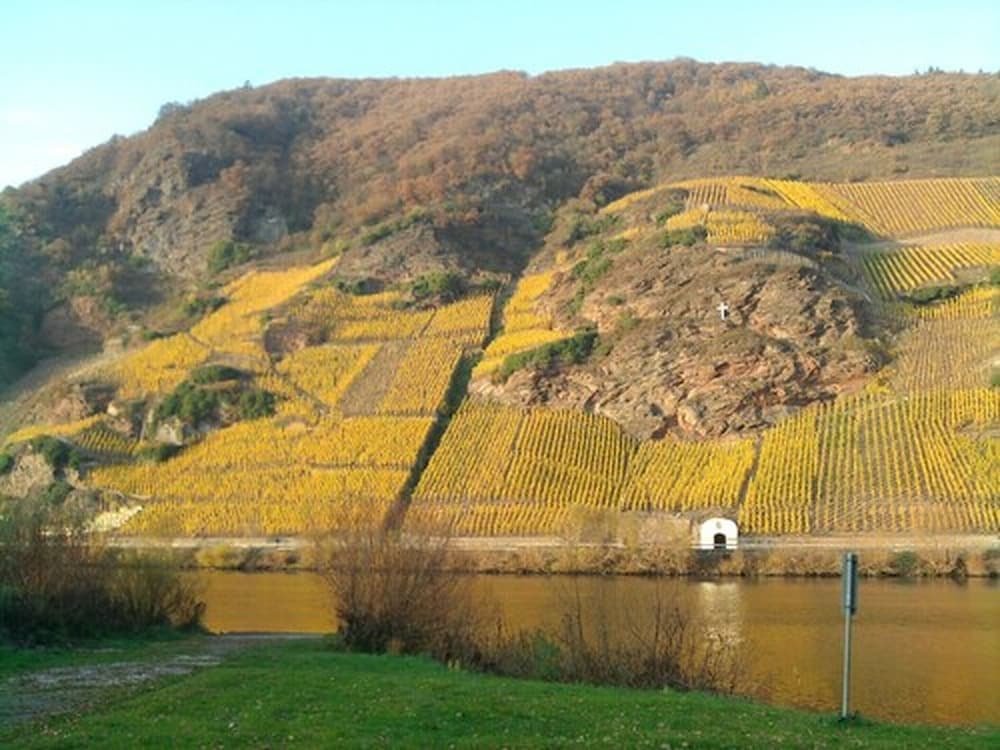 Weingut & Gastehaus Kaufmann-Schneider,,3 star
