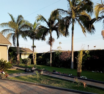 sago palm executive lodge