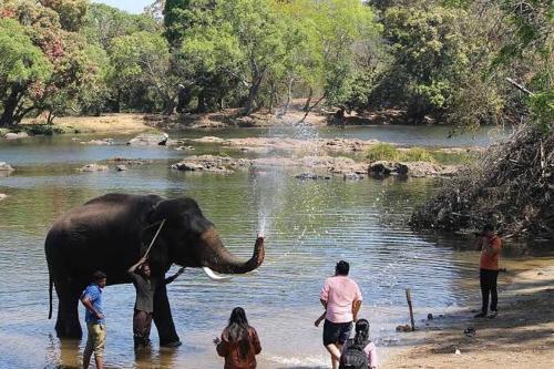 coorg