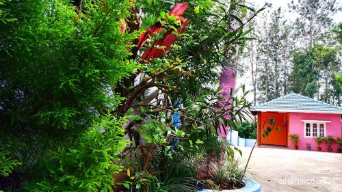 coorg