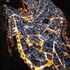 vejer de la frontera