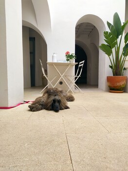 vejer de la frontera