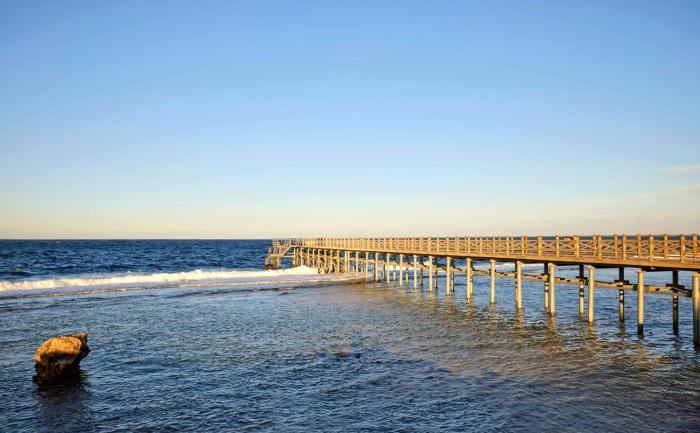 steigenberger resort alaya adults only