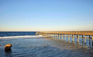 steigenberger resort alaya adults only