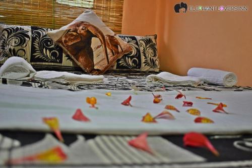 elephant lovers inn
