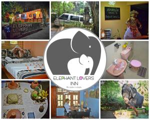 elephant lovers inn