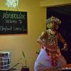 elephant lovers inn