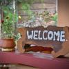 elephant lovers inn